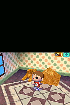Images : Animal Crossing prend la pose sur DS