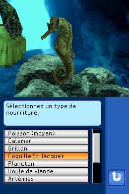 Fantasy Aquarium By DS
