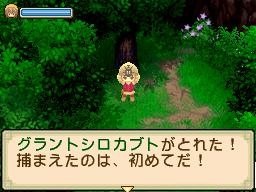 Images d'Harvest Moon : Village of the Twins