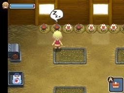Images d'Harvest Moon : Village of the Twins
