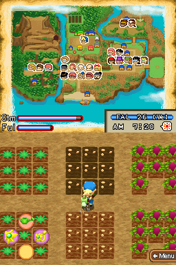 E3 2008 : Images de Harvest Moon - Island of Happiness