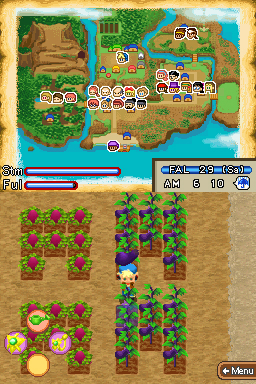 Una date européenne pour Harvest Moon : Island of happiness