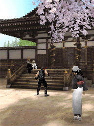Images : Ninja Gaiden DS