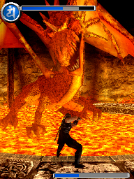 Images de Ninja Gaiden : Dragon Sword