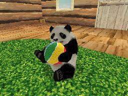 Images de National Geographic Panda