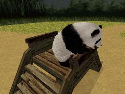 Images de National Geographic Panda