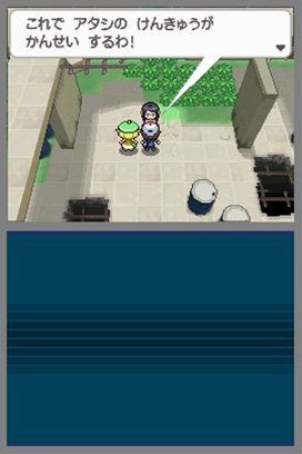 Images de Pokémon version Noire et Blanche