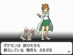 Images de Pokémon versions Noire et Blanche