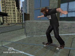 Skate sur Wii et DS