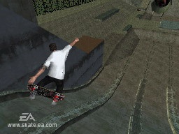 Skate sur Wii et DS