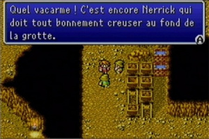 Final Fantasy I & II : Dawn Of Souls parle français