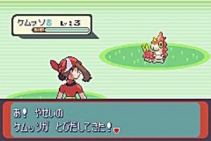 Pokemon Fire Red et Pokemon Leaf Green - Gameboy Advance