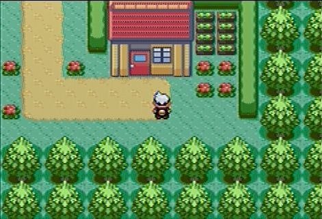 Ce bug est passé inaperçu pendant 18 ans... et c'est un poisson qui l'a trouvé !