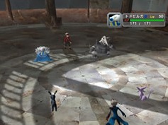 Pokémon Colosseum : les combats