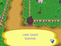 Animal Crossing illustré sur DS