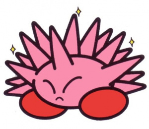 Les transformations de Kirby : Aiguille, Feu, Rayon et Bombe