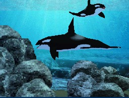 Aquarium By DS