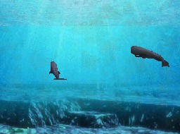 Aquarium By DS