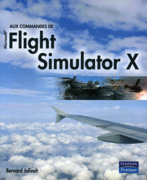 Flight Sim for dummies