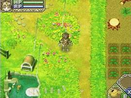 Images : New Harvest Moon : Rune Factory