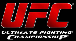 EA Sports UFC : Toujours pas en 2013