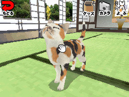 Un Nindendogs avec des chats : YuméNeko DS