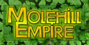 Molehill Empire sur Web