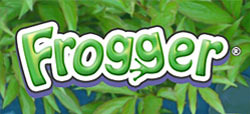 Frogger sur iOS
