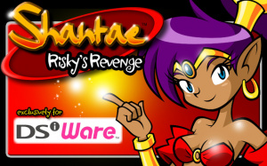 Shantae : Risky's Revenge sur DS