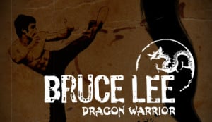 Bruce Lee Dragon Warrior sur Android