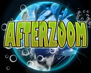 AfterZoom sur DS