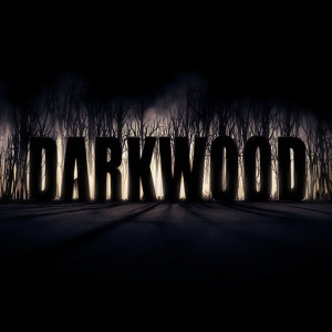 Darkwood sur PC