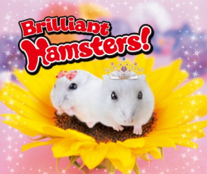 Brilliant Hamsters! sur 3DS
