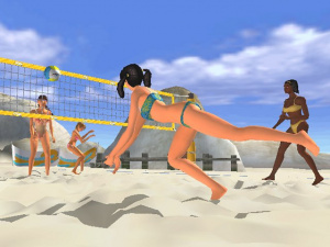 Summer Heat Volleyball