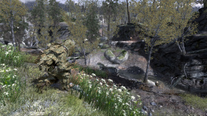 Call of Duty 4 : Modern Warfare : Le pack de cartes "Variété"