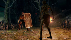 Une levée de boucliers pour Dark Souls II
