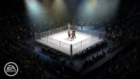 Images de EA Sports MMA