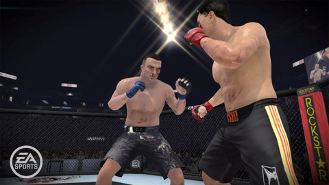 Images de EA Sports MMA