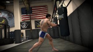 Le mode Carrière d'EA Sports MMA