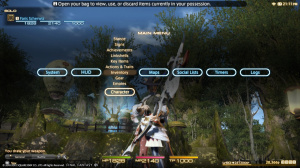 Images de FF XIV : A Realm Reborn sur PS3