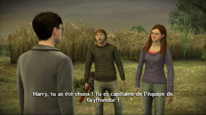 Harry Potter et le Prince de Sang-Mêlé / PC-360-PS3-Wii-PS2-PSP-DS (2009)