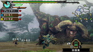 Images de Monster Hunter Portable 3rd HD