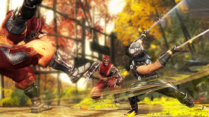 Images : Ninja Gaiden Sigma, pattes en l'air et explosions