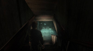Images de Silent Hill : Downpour