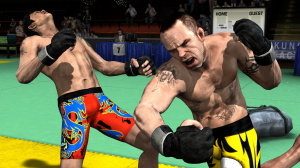 Trois images pour Supremacy MMA