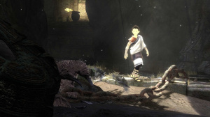 E3 2014 : The Last Guardian absent, Yoshida s'excuse
