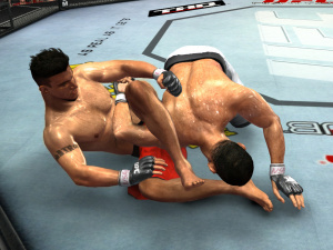 Images de UFC 2009 : Undisputed