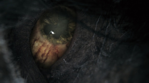 E3 2014 : Project Beast devient Bloodborne
