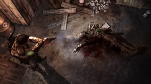 Images de Afterfall : Insanity