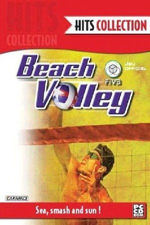 Beach Volley sur PC